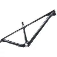 Yeti ARC T Series Frameset 29er Carbon Mountain Bike 2022 Raw Carbon